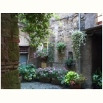 Ein Blumengarten im Hof